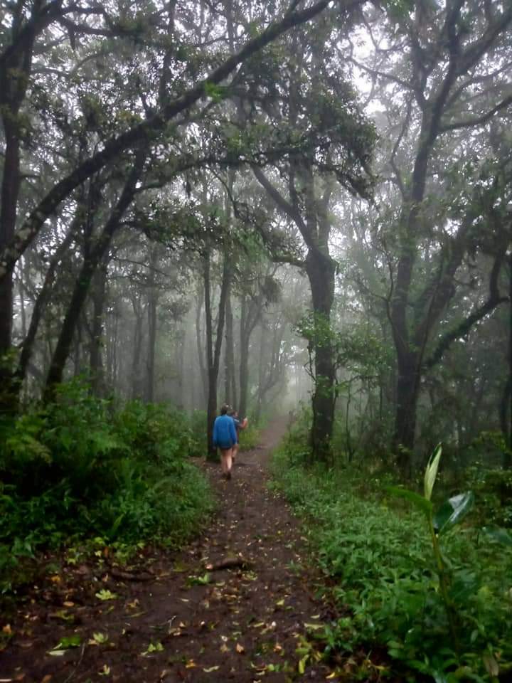 Mount Abang sunrise trekking Bali